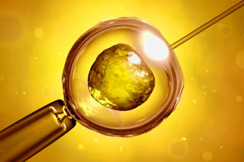 in_vitro