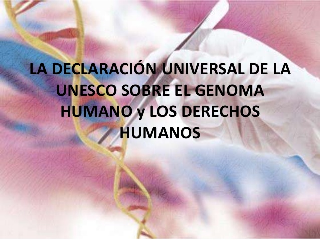 la-declaracion-universal