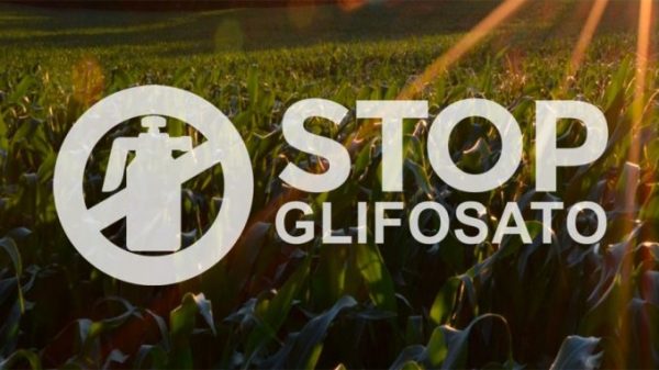 glifosato