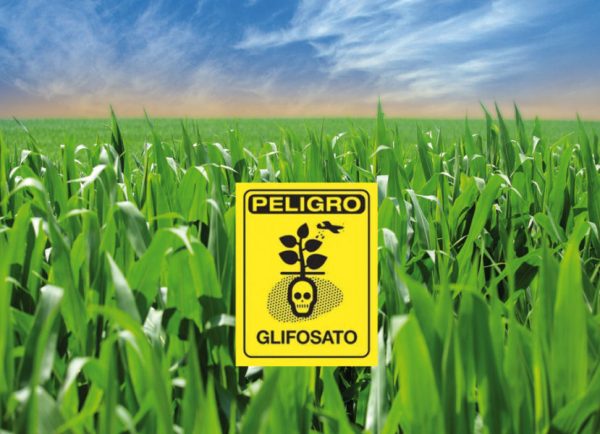 Glifosato