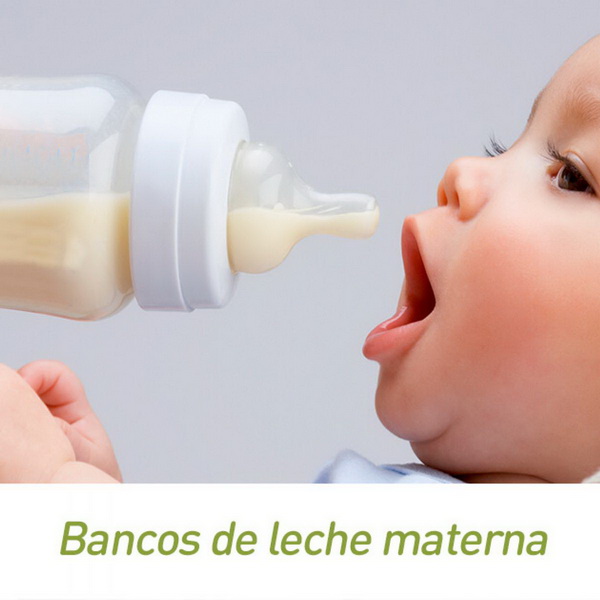 leche materna