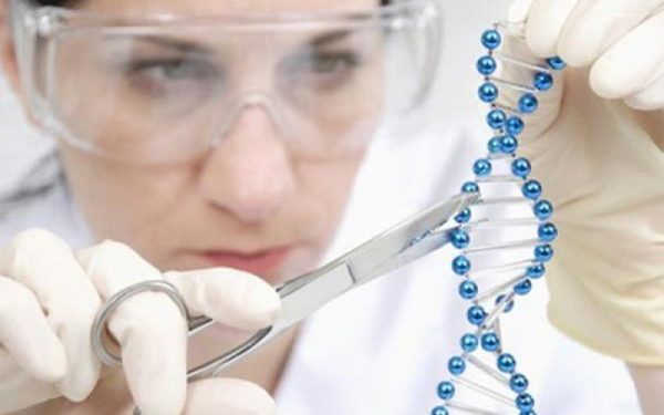 Bioética y genética