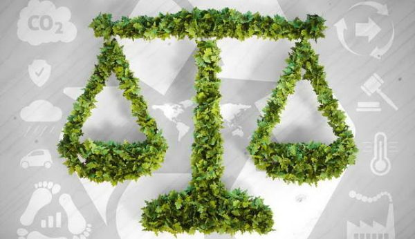 DERECHOS DE LA NATURALEZA