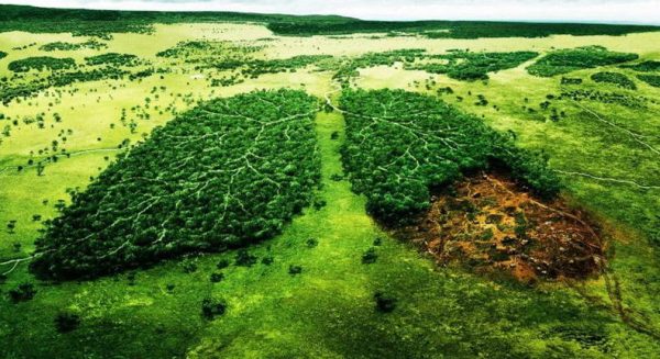naturaleza