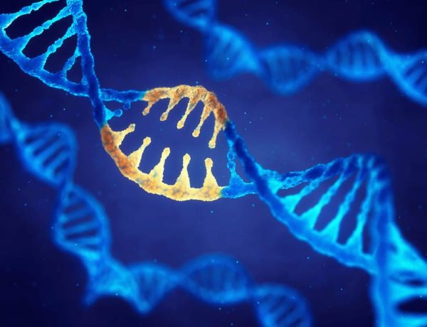 CRISPR