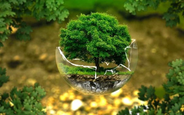 ecología