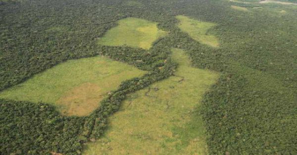 Deforestación