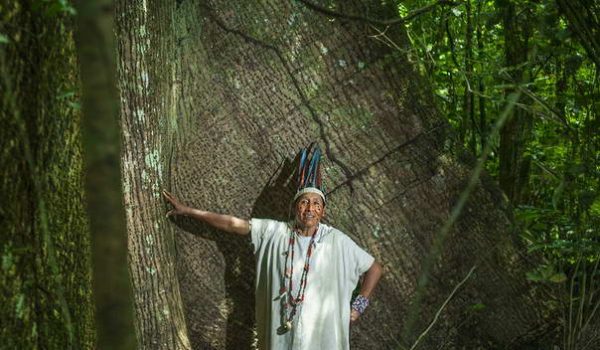 Pueblos originarios