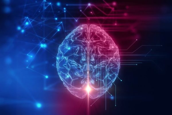 neurociencia