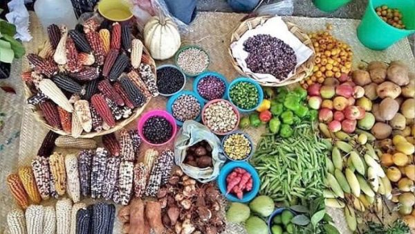 La agrodiversidad