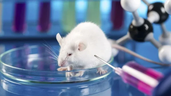 ¿Ciencia y ética?
