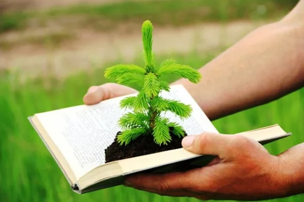 Naturaleza