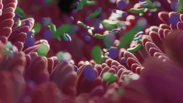 bacterias